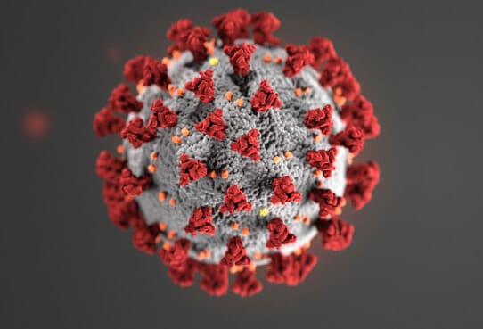 Coronavirus Particle